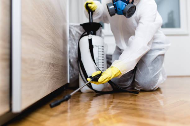 Best Cockroach Control Services  in Durham, NC