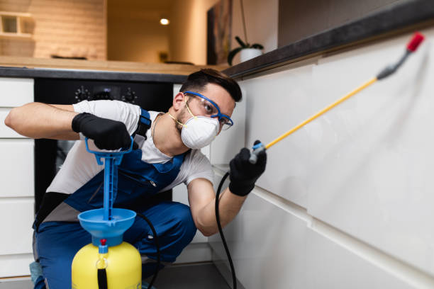 Best Wasp Removal Services  in Durham, NC