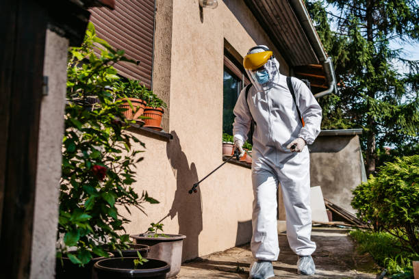 Best Insect Control  in Durham, NC