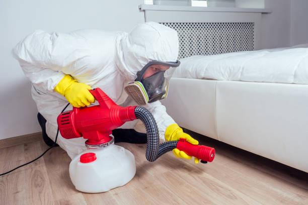 Best Mosquito Control Services  in Durham, NC