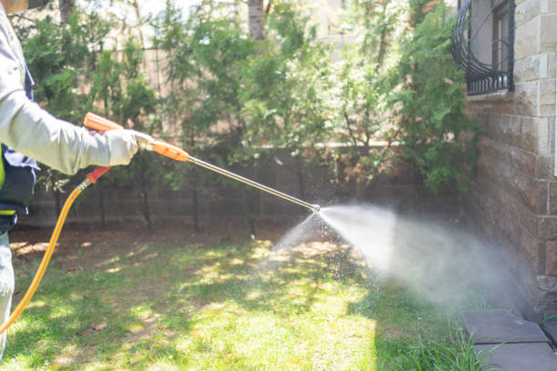 Best Pest Control Near Me  in Durham, NC