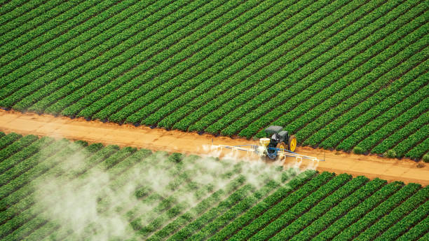 Best Pest Removal Services  in Durham, NC