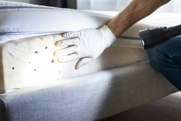 Best Affordable Pest Control Services  in Durham, NC