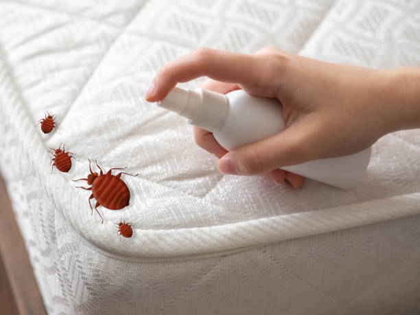 Best Cockroach Control Services  in Durham, NC