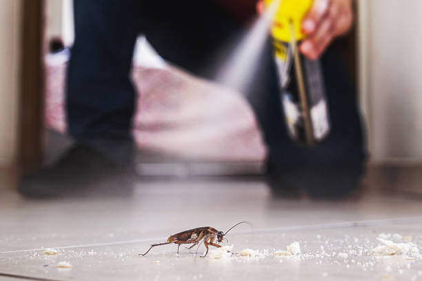 Best Best Pest Control Companies  in Durham, NC