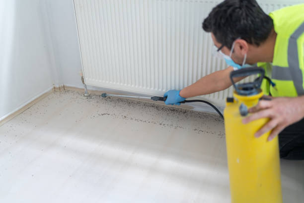 Best Flea Control Services  in Durham, NC