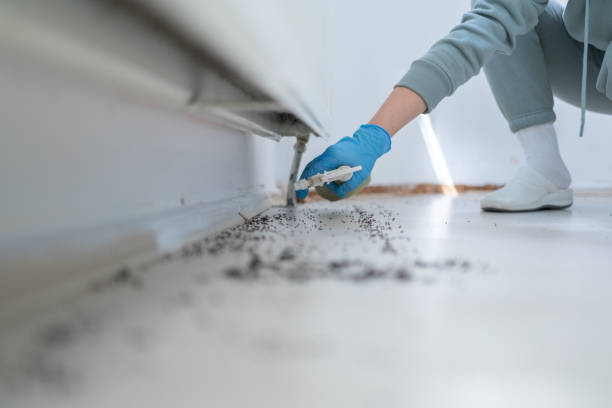 Professional Pest Control in Durham, NC